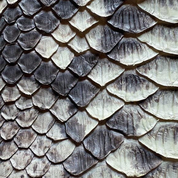 How gorgeous is this!! Amanda Wakeley python clutch, worn twice. - Picture 3 of 16